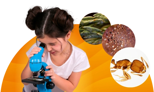 Смотри в микроскоп бесплатно!